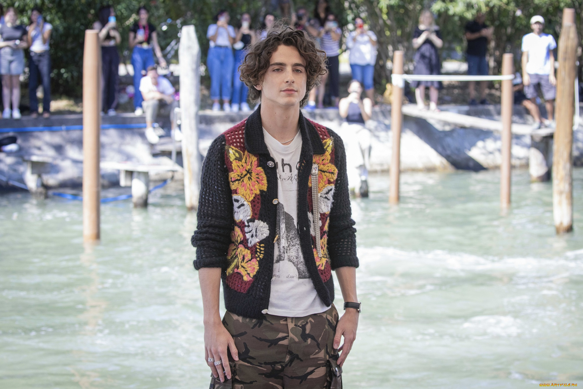 timothee chalamet, , , , 